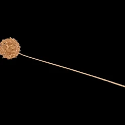 Gouden kunsttak | Action NL Hot