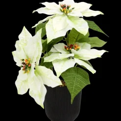 Home Accents kunst-kerstster | Action NL Clearance