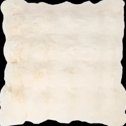 Kussenhoes Maxime 45 x 45 cm | Action NL Discount