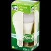 LSC ledlamp 17 watt 2500 lm | Action NL Discount