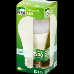 LSC ledlamp 17 watt 2500 lm | Action NL Discount