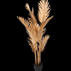 Palm in pot XL | Action NL Hot