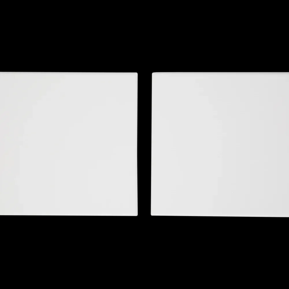 Van Bleiswijck schildersdoeken | Action NL Online