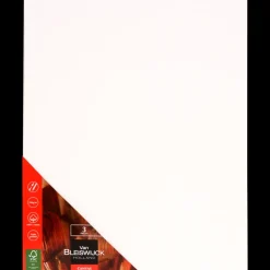 Van Bleiswijck schilderspanelen | Action NL Hot